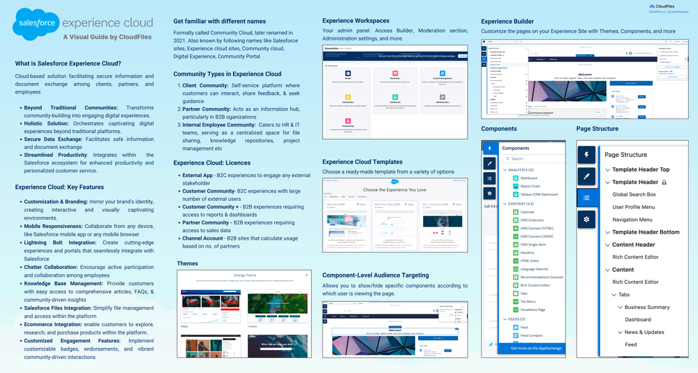 Experience cloud sharing with granular access control
