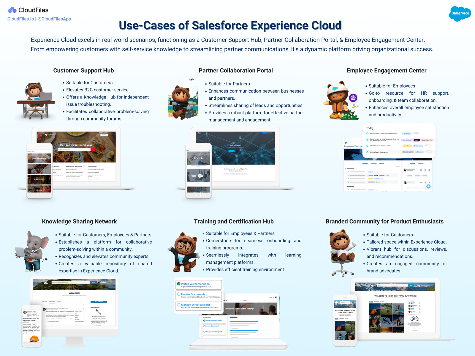 Use Cases of Experience Cloud