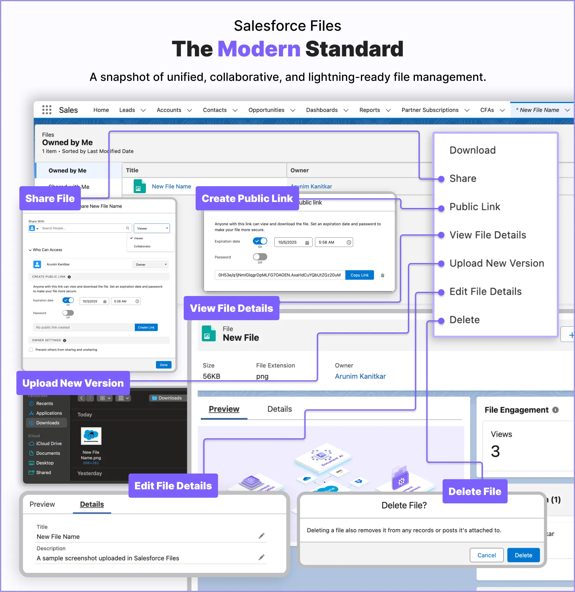 Salesforce files