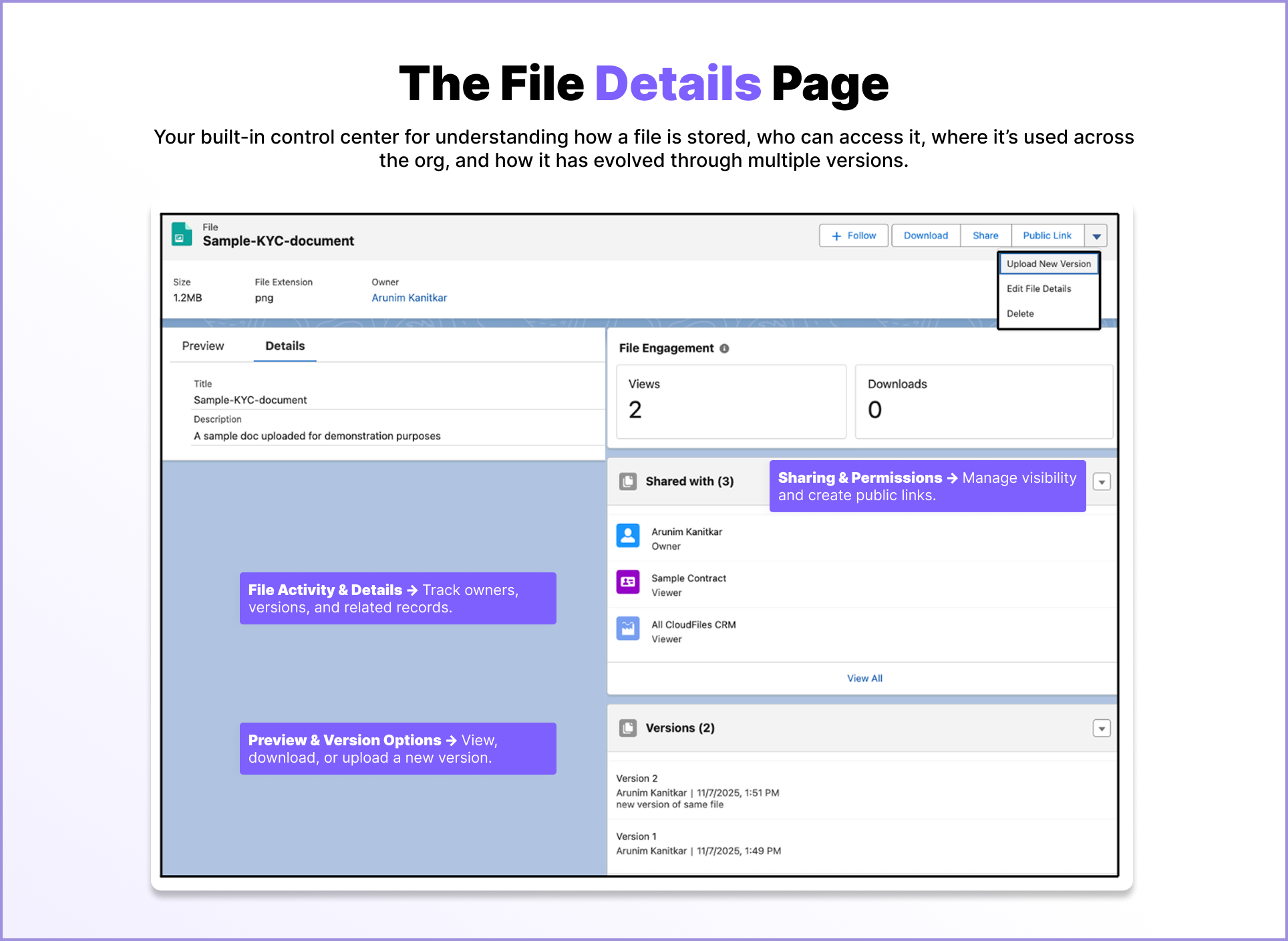 The file details page