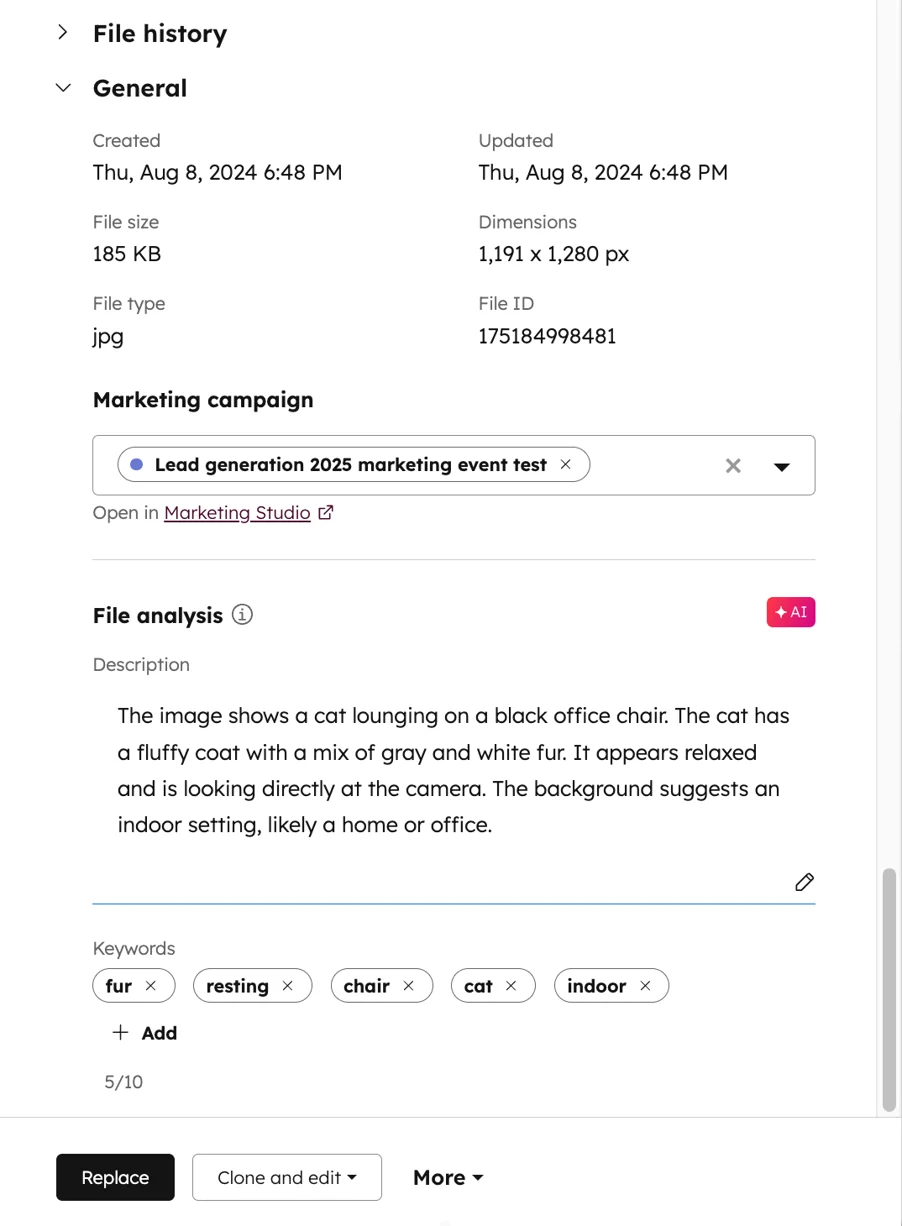 File details and AI-generated analysis