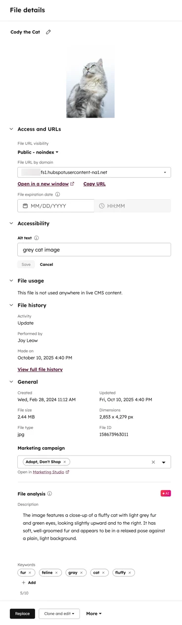HubSpot File Manager