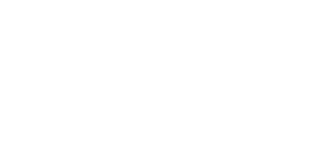 BrightNight logo
