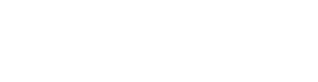 Robin Consulting logo